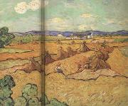 Vincent Van Gogh Wheat Stacks with Reaper (nn04) oil